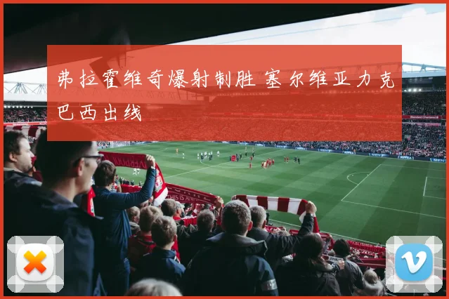 弗拉霍维奇爆射制胜 塞尔维亚力克巴西出线