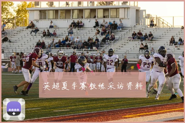 英超夏季赛教练采访资料