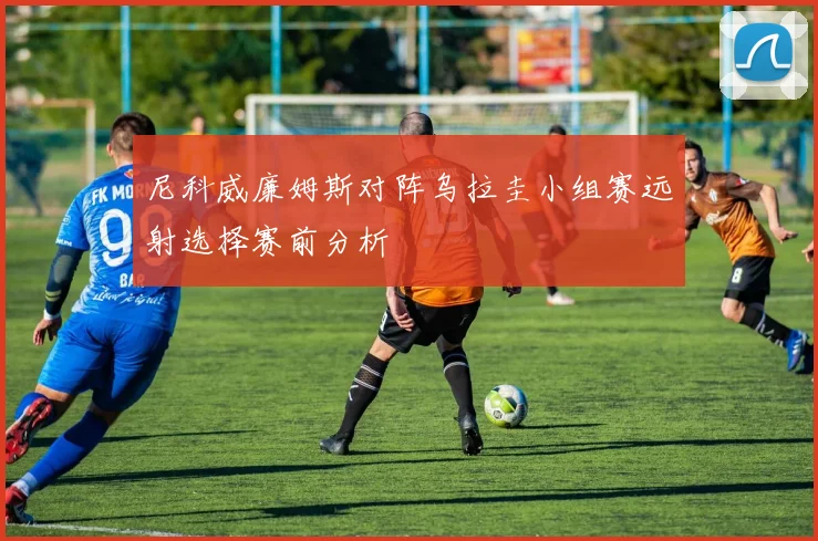 尼科威廉姆斯对阵乌拉圭小组赛远射选择赛前分析