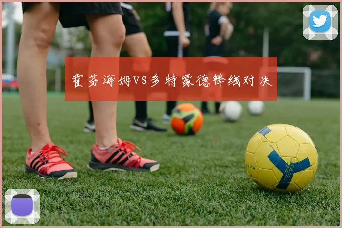 霍芬海姆vs多特蒙德锋线对决