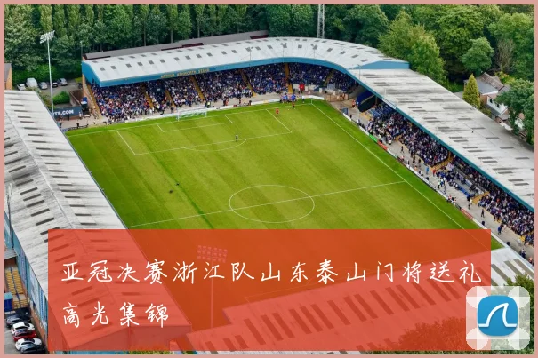 亚冠决赛浙江队山东泰山门将送礼高光集锦