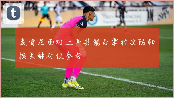 麦肯尼面对土耳其能否掌控攻防转换关键对位参考