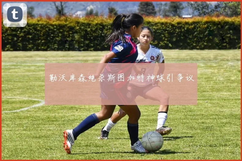 勒沃库森绝杀斯图加特神球引争议