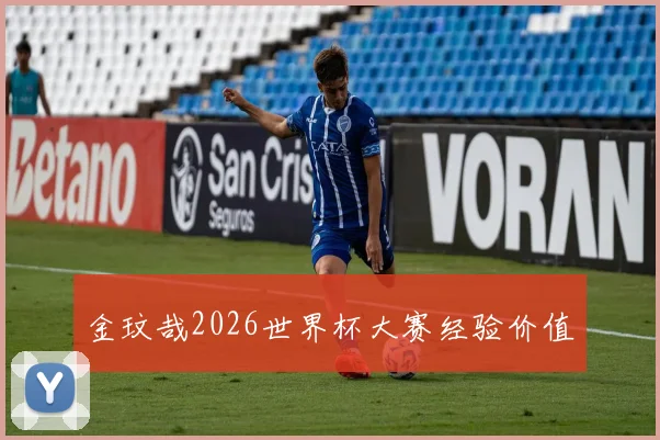 金玟哉2026世界杯大赛经验价值